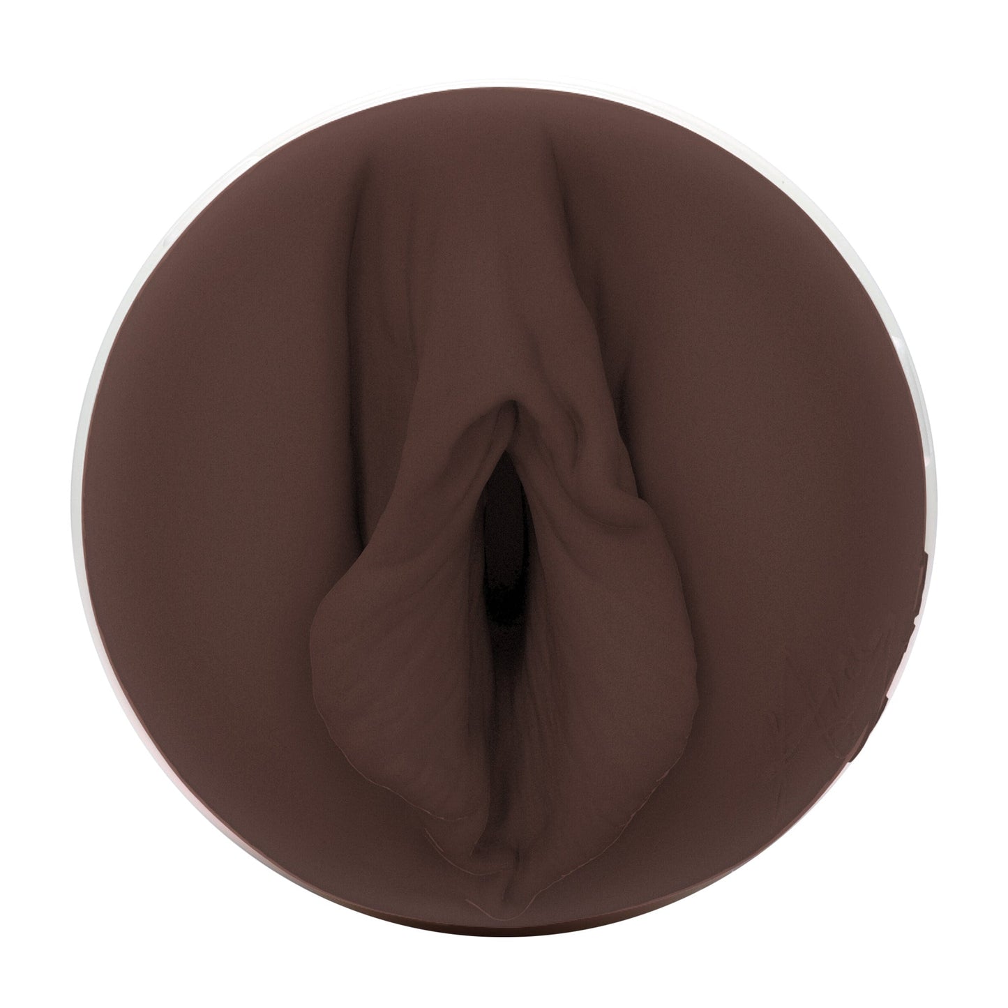 Ana Foxxx Fleshlight Silk (Lady) With case Fleshlight