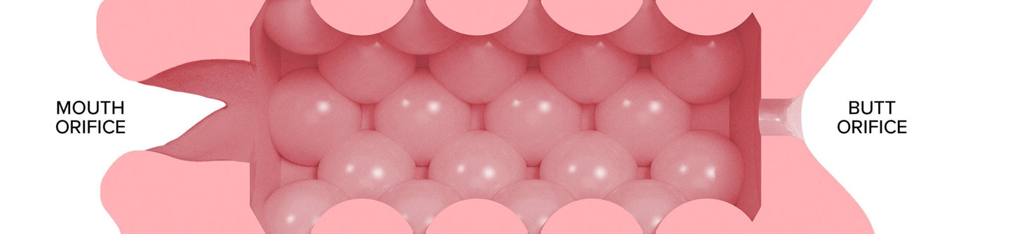 Masturbators Quickshot Stamina Training Unit Butt/Mouth